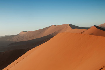 Plakat namibian desert