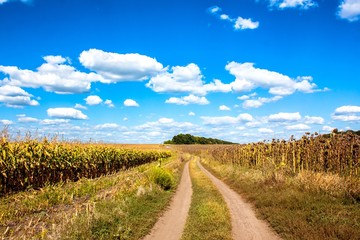 Красивые облака в осеннем поле © vovk_92