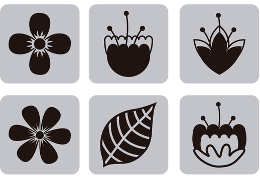 9 Square Grayscale Tropical Flower and Leaf Icons