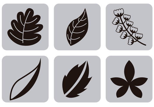 Black Minimalist Botanical Leaves Icons Set