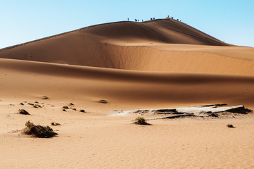 namibian desert
