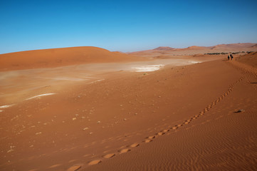 namibian desert