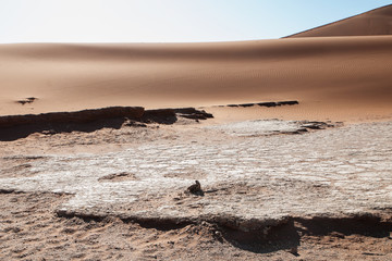 namibian desert
