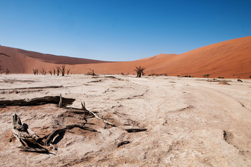 namibian desert