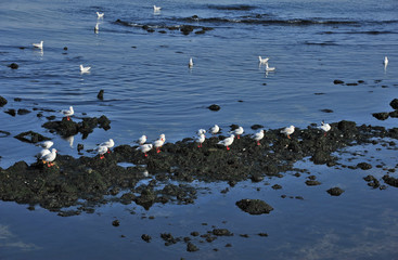 Набережная в городе Баку, Азербайджан.