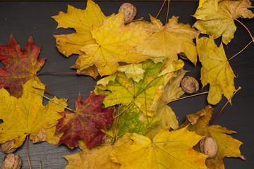 Naklejka na ściany i meble fallen leaves on wooden background, top view
