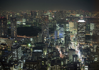 Obraz premium nighttime tokyo
