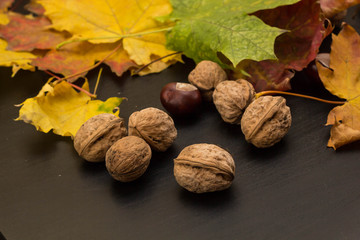 Autumn border from walnuts and maple leaves