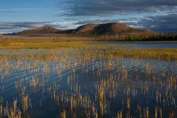 The grass in the lake and mountains on the other side. Lake Labynkyr, Oimyakon region, Yakutia, Russia.