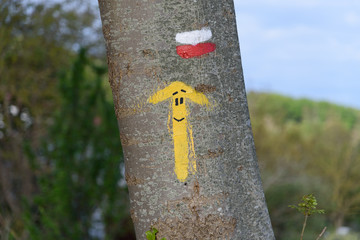 Gelber Pfeil mit lachendem Gesicht auf Baumstamm am Jakobsweg in Spanien