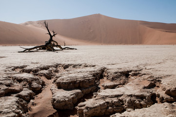 namibian desert