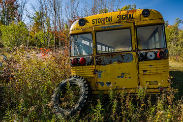 Old School Bus in Scrap Yard