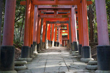 torii gate tunnel walk
