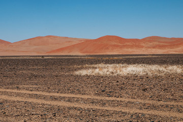 namibian desert
