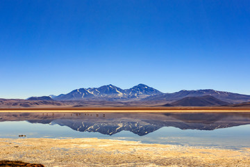 Snow covered mountain reflected on a salty lake