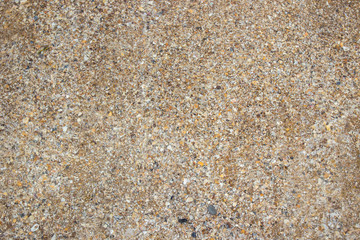 Sand and cracked shell under fresh sea wave water in background.