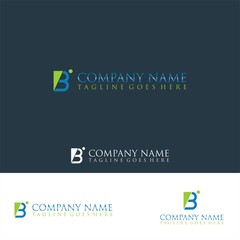 Obraz premium modern letter B business logo
