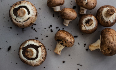 Fresh brown mushrooms. Mushrooms on a gray background with the earth spills