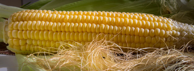 Raw corn © niksinka