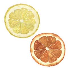 Watercolor orange and lemon set. Hand painted citrus food illustration isolated on white background. Botanical illustration for design