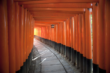 path to enlightenment