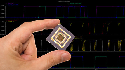 Microprocessor in hand