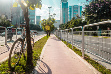 Bike Path in the Streets of Sao Paulo, Brazil (Brasil) - 124384771