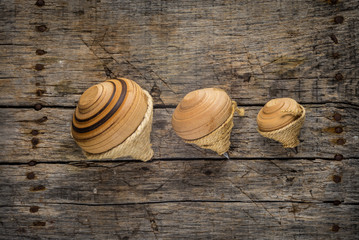 Old spinning tops