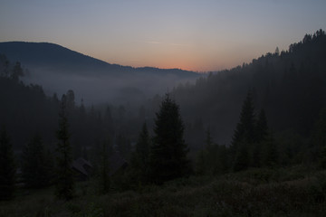 Plakat at morning dawn mist over forest in mountains