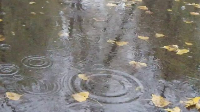 pluie