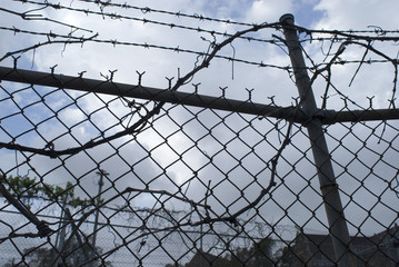 Wire Mesh Fence And Barbed Wire