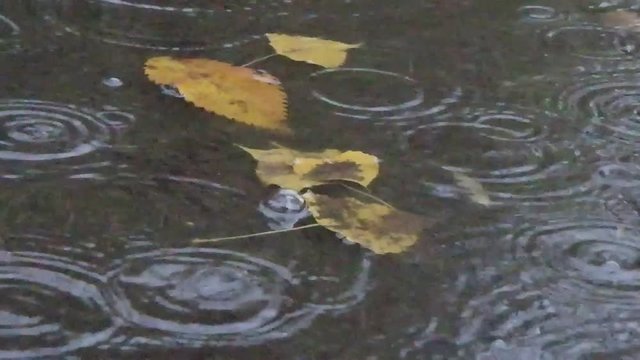 pluie