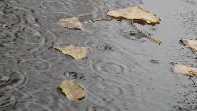 pluie