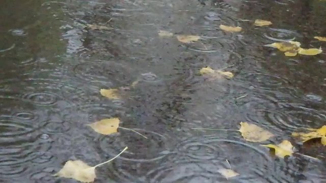 pluie