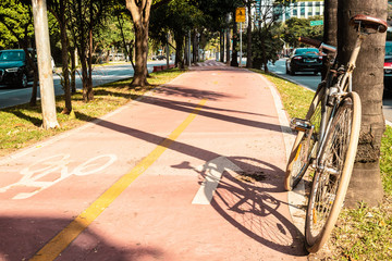 Fototapeta na wymiar Bike Path in the Streets of Sao Paulo, Brazil (Brasil)