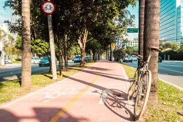 Bike Path in the Streets of Sao Paulo, Brazil (Brasil) - 124386901