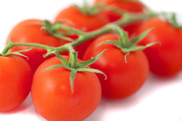 Ripe fresh cherry tomatoes