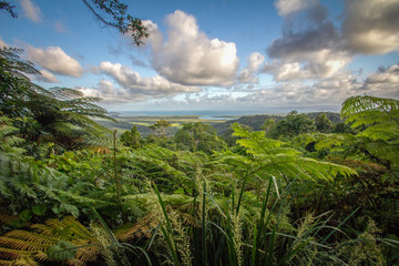 Lookout of Daintree