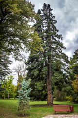 Obraz premium Chavchavadze park in Tsinandali, Kakhetia, Georgia