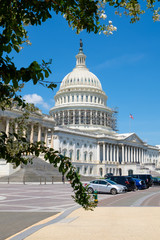Obraz premium The United States Capitol in Washington D.C.