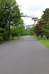 皇居乾通り、