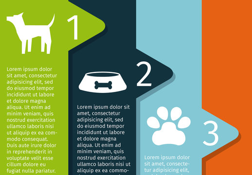 Dog and Pet Care Infographic 3