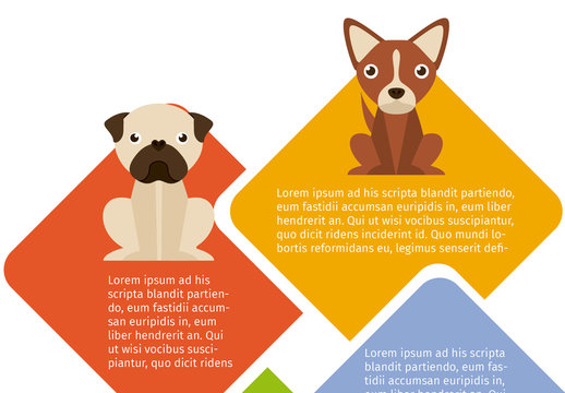 Dog and Pet Care Infographic 4