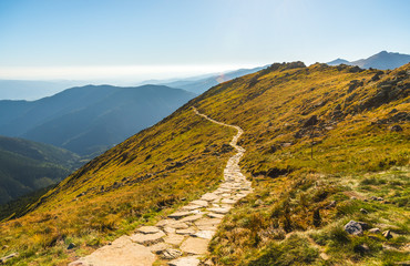 Obraz premium Rocky Hiking Trail in the Mountains on Sunny Day. Low Tatras Ridge, Slovakia.