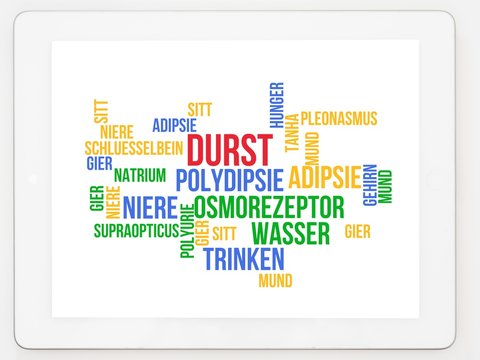 Durst