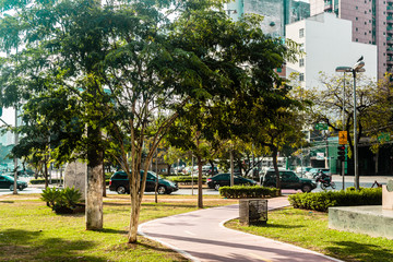 Obraz premium Bike Path in the Streets of Sao Paulo, Brazil (Brasil)