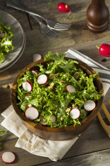 Raw Organic Endive and Radish Salad