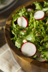 Raw Organic Endive and Radish Salad