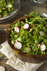 Raw Organic Endive and Radish Salad
