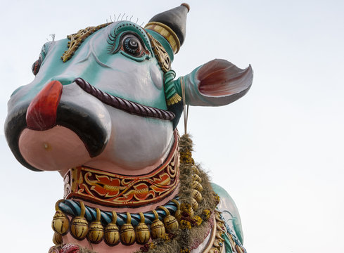 Nandi Images – Browse 2,734 Stock Photos, Vectors, and Video | Adobe Stock Nandi Images – Browse 2,734 Stock Photos, Vectors, and Video | Adobe Stock